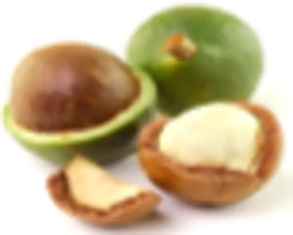 MACADAMIA NATURAL